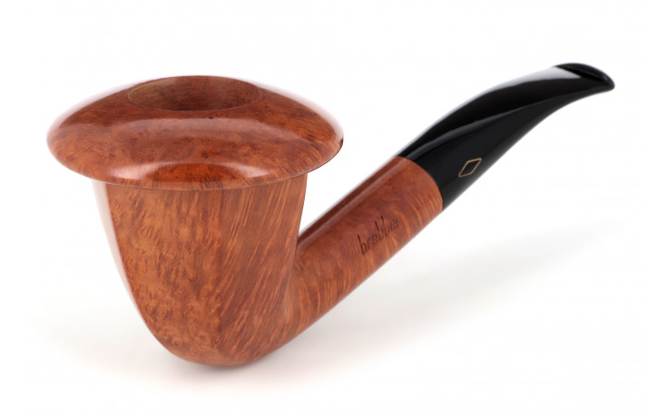 Pipe Brebbia Calabash President Pura 5